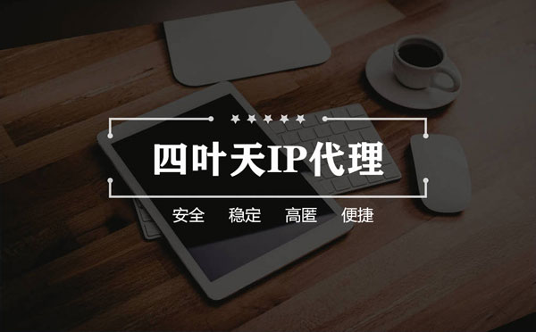 【陇南代理IP】如何快速搭建代理IP？怎么检查代理的效果？